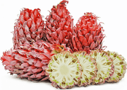 Red Pineapple Seeds