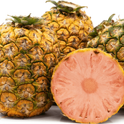 Pink Pineapple Seeds