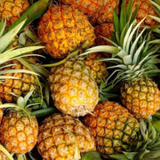 Pineapple Seeds - All In One For Home Gardens