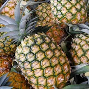 Orange Green Pineapple Seeds