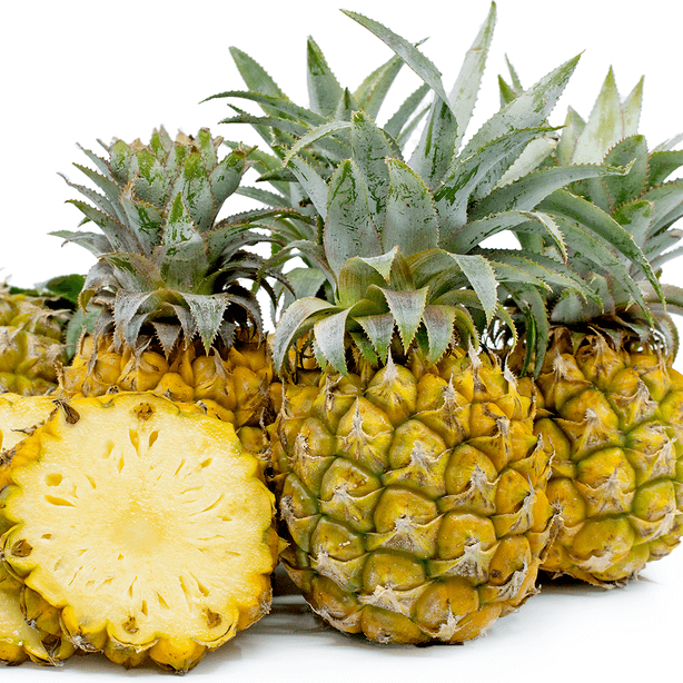 Queen Victoria Pineapple Seeds