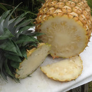 White Flesh Pineapple Seeds