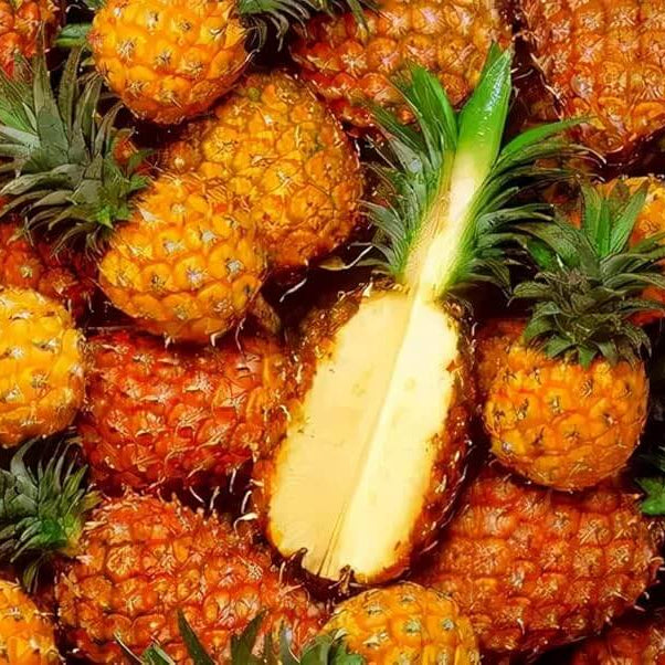 Orange Pineapple Seeds