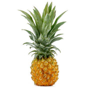 Queen Victoria Pineapple Seeds