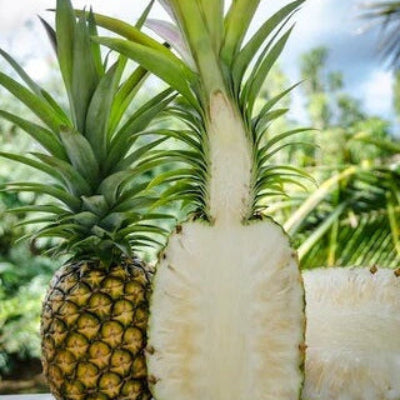 White Flesh Pineapple Seeds