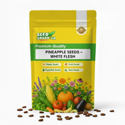 White Flesh Pineapple Seeds