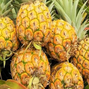 Yellow Pineapple Seeds