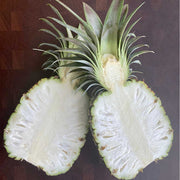White Flesh Pineapple Seeds