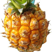 Yellow Pineapple Seeds