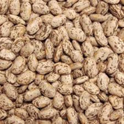 Pinto Bean Seeds