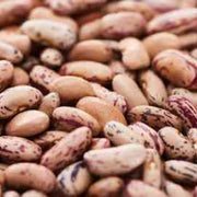 Pinto Bean Seeds