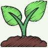 Clear Seed info