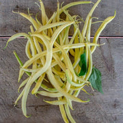 Yellow Black Bacau Pole Bean Seeds