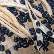 Black Turtle Pole Bean Seeds