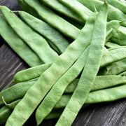 Green Romano Pole Bean Seeds