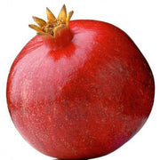 Maroon Pomegranate Seeds