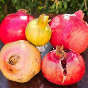 Mixed Pomegranate Seeds