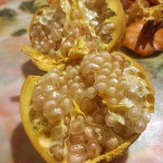 White Pomegranate Seeds