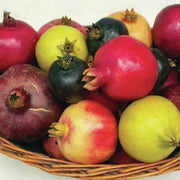 Mixed Pomegranate Seeds