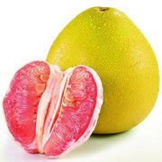 Citrus maxima Pomelo Seeds