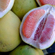 Davao Pomelo Seeds
