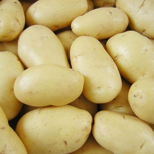 Cream Potato Seeds