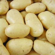 Cream Potato Seeds