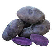 Purple Potato Seeds