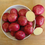 Dark Pink Potato Seeds