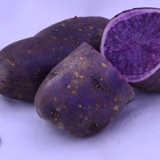 Purple Potato Seeds