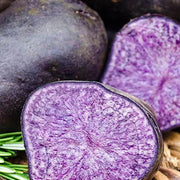 Purple Potato Seeds