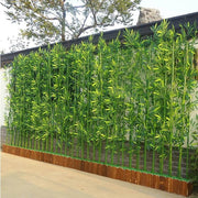 Privacy Bamboo Seeds - Ornamental Bamboo Landscape Seeds