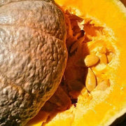Brown Pumpkin Seeds