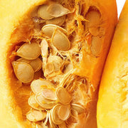 Cucurbita Pepo Pumpkin Seeds