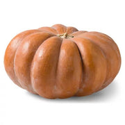 Fairytale Pumpkin Seeds