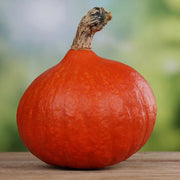 Hokkaido Red Kuri Pumpkin Seeds