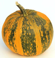 Multi-Colored Pumpkin Seeds