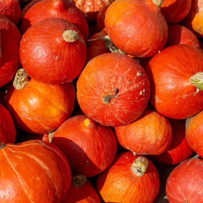 Red Pumpkin Seeds
