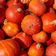 Red Pumpkin Seeds
