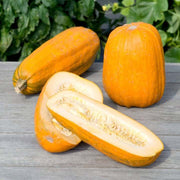 Long Pie Pumpkin Seeds