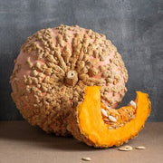 Brown Pumpkin Seeds