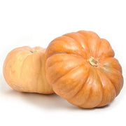 Fairytale Pumpkin Seeds