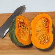 Korean Pumpkin Seeds