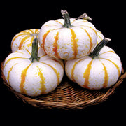 Lil' Pump Ke Mo Pumpkin Seeds