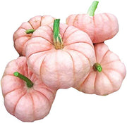 Pink Pumpkin Seeds