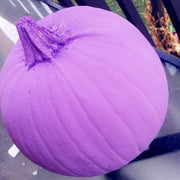Purple Pumpkin Seeds