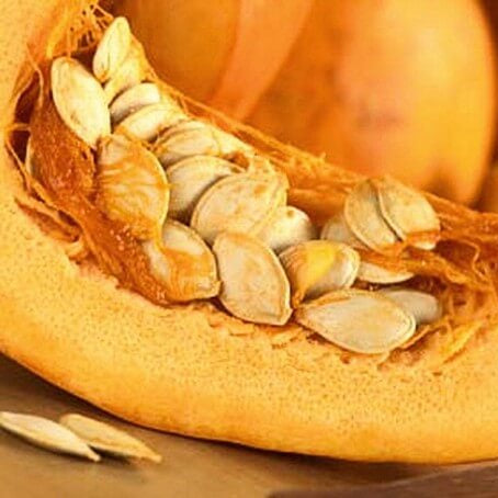 Cucurbita Pepo Pumpkin Seeds