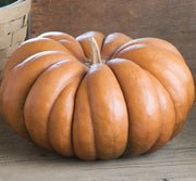 Fairytale Pumpkin Seeds
