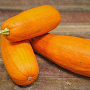 Long Pie Pumpkin Seeds