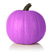 Purple Pumpkin Seeds